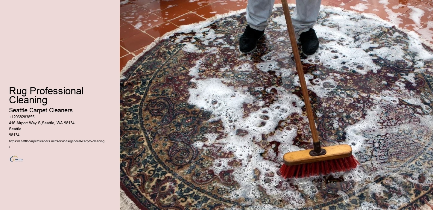 Rug Professional Cleaning
