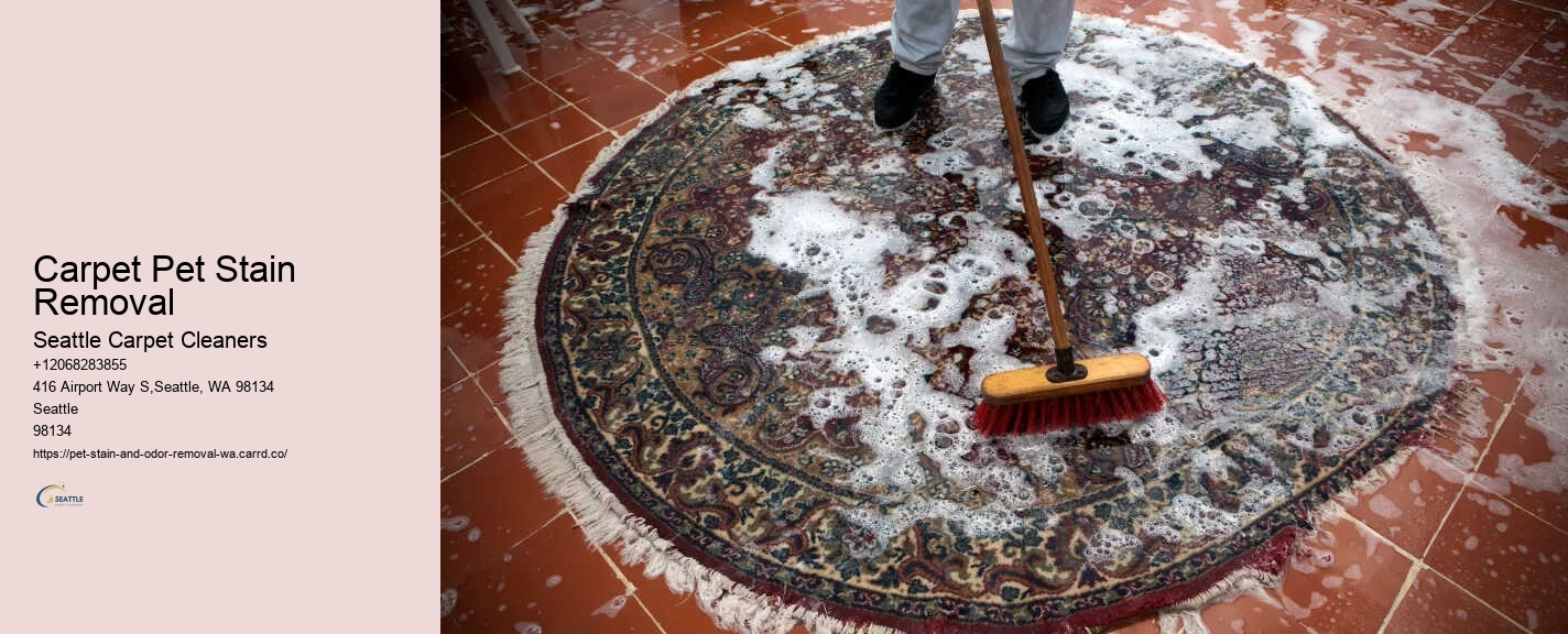 Carpet Pet Stain Removal