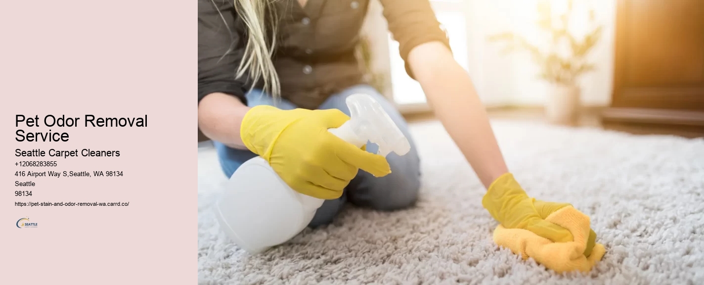 Pet Odor Removal Service
