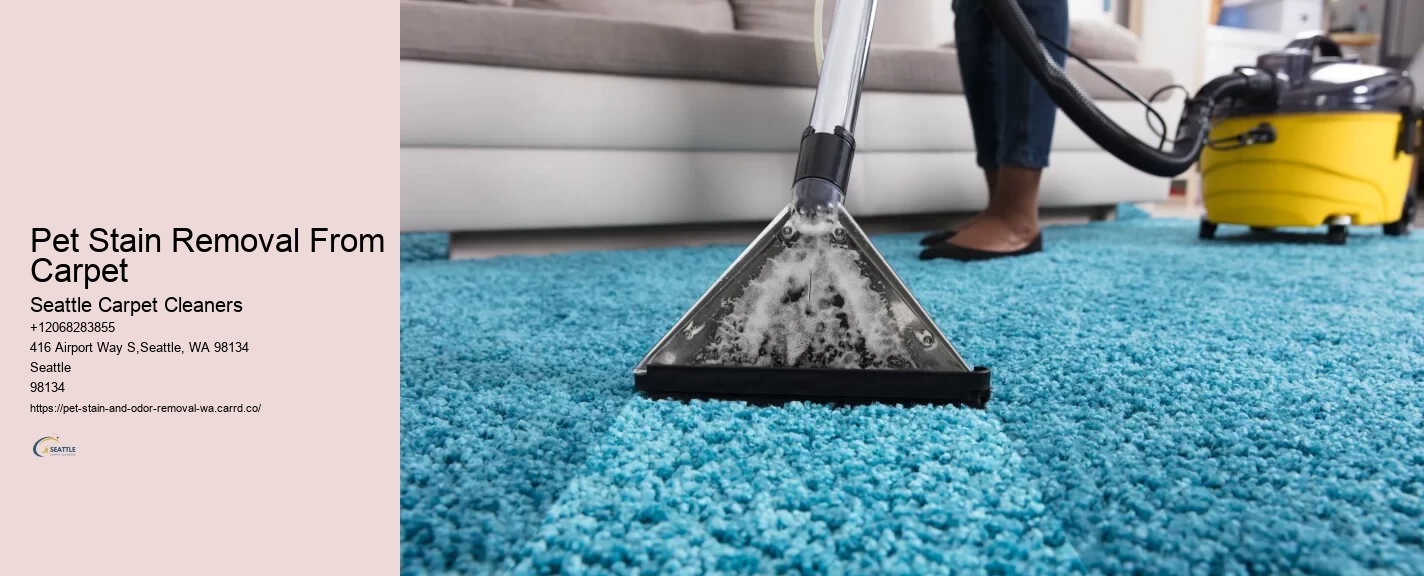Pet Stain Removal From Carpet