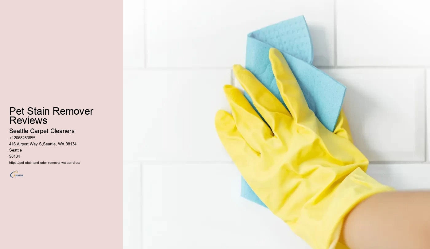 Pet Stain Remover Reviews