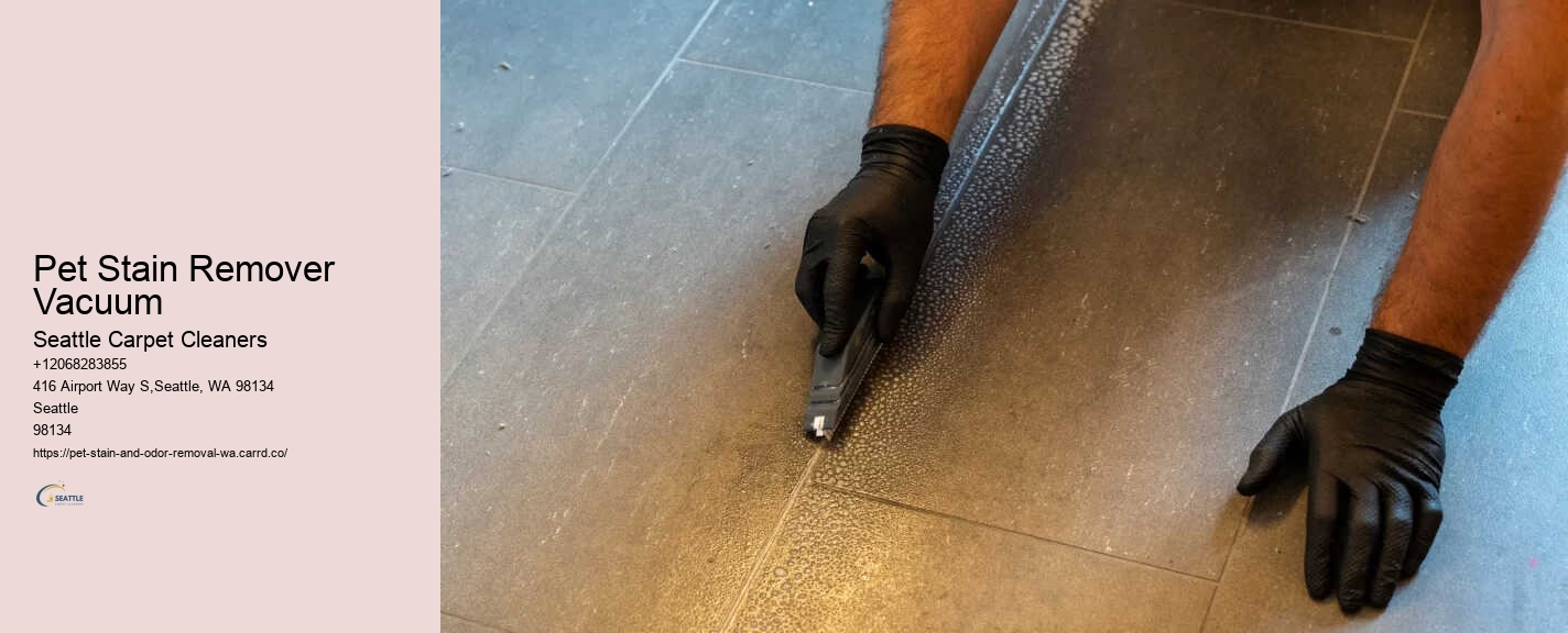 Pet Stain Remover Vacuum