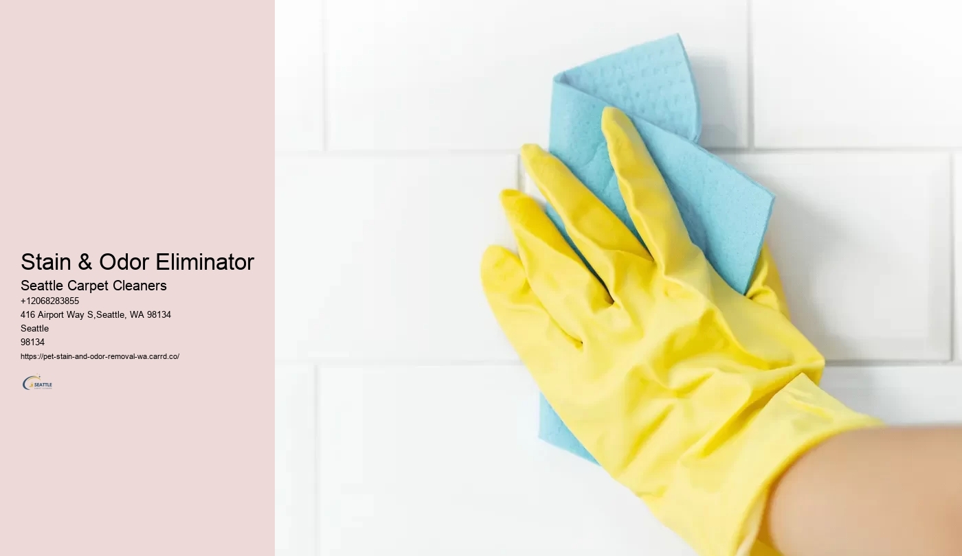 Stain & Odor Eliminator
