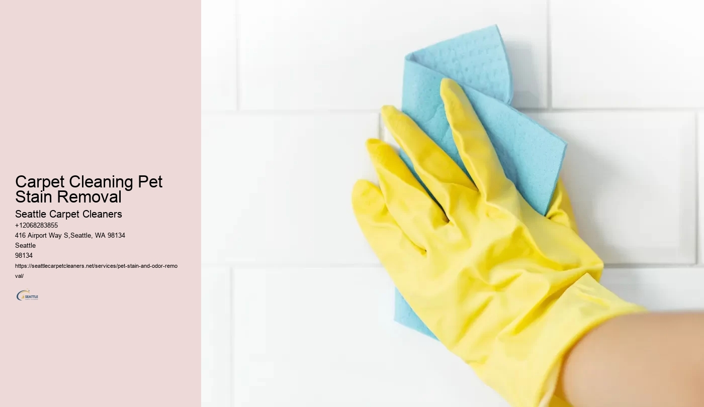 Carpet Cleaning Pet Stain Removal