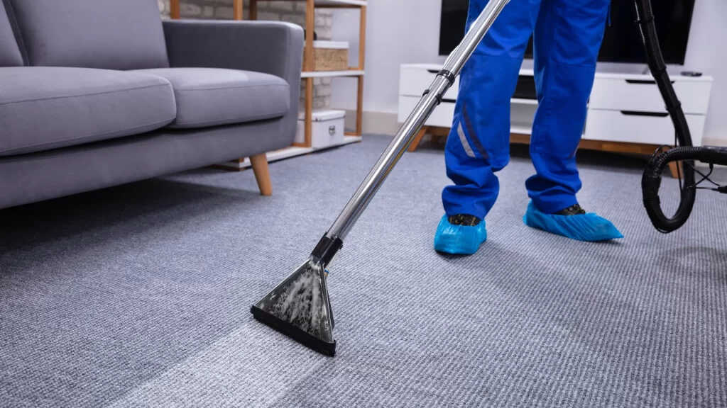 Odor Removal Professional
