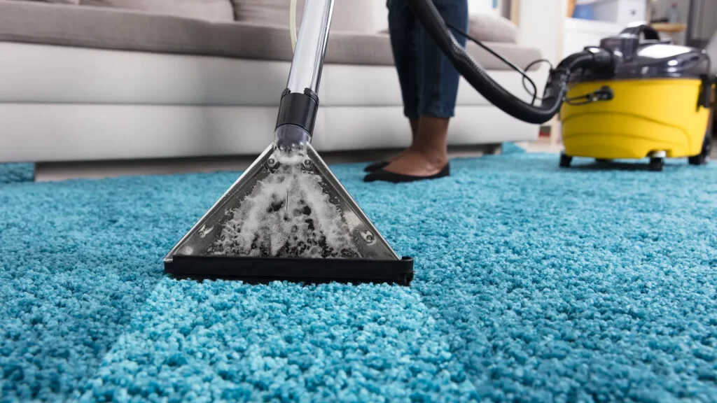 Odor Removal For Dog