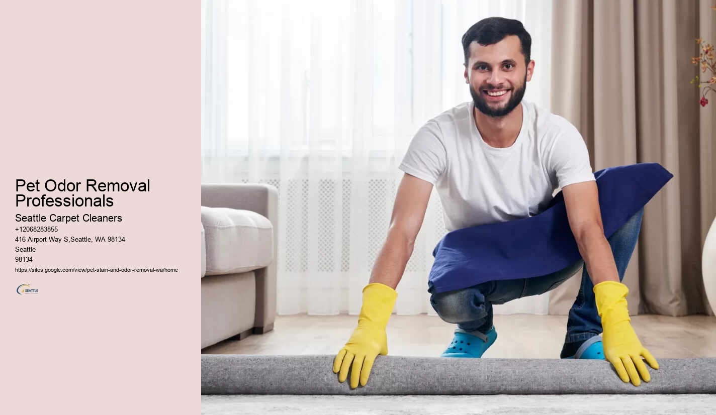 Pet Odor Removal Professionals