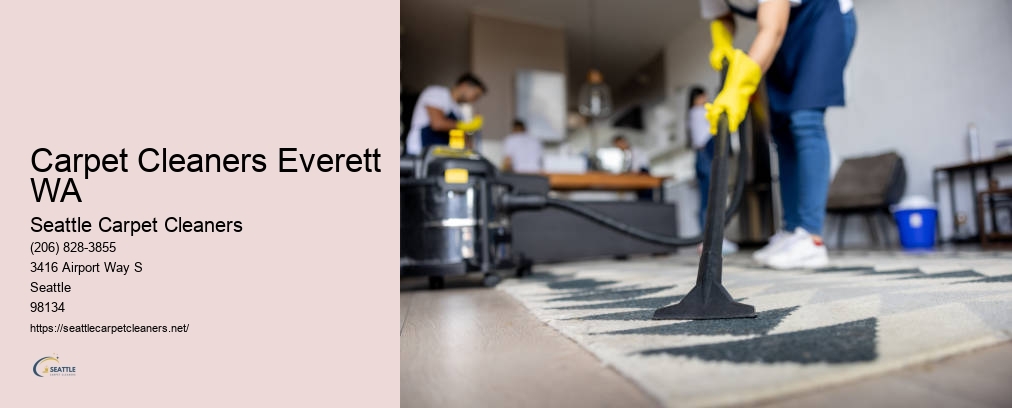 Carpet Cleaning Seattle Washington