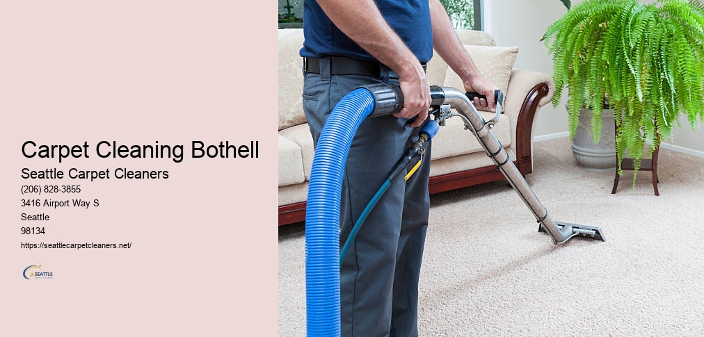 Seattle Carpet Cleaners
