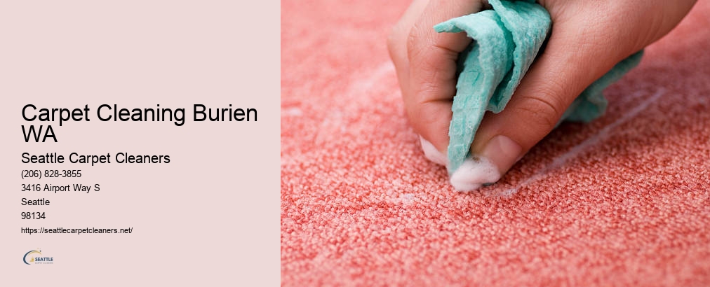 Carpet Cleaning Seattle Washington