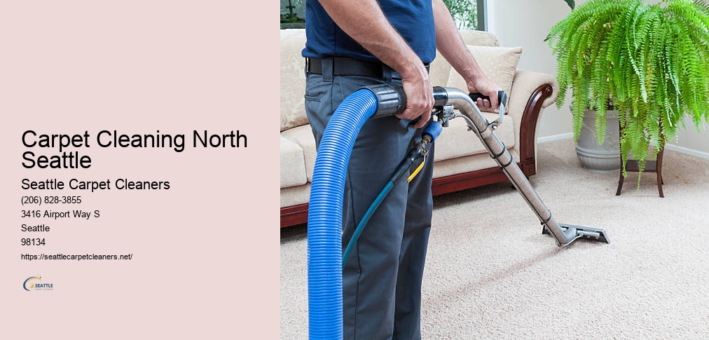 Carpet Cleaning Seattle WA