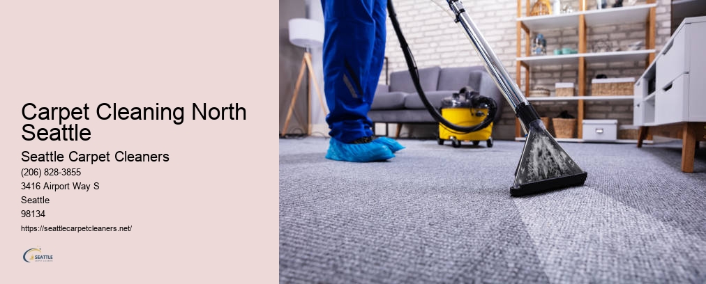 Seattle Carpet Cleaners
