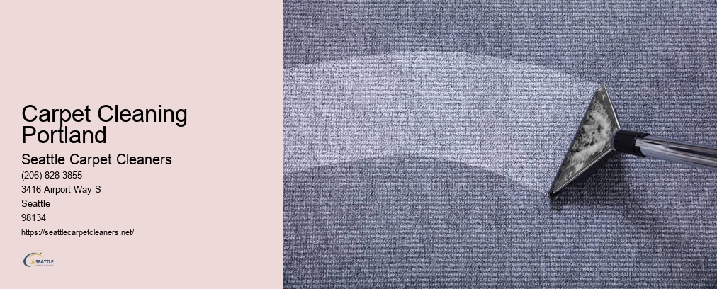 Upholstery Cleaner Seattle