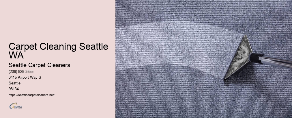 Professional Carpet Cleaners Seattle WA