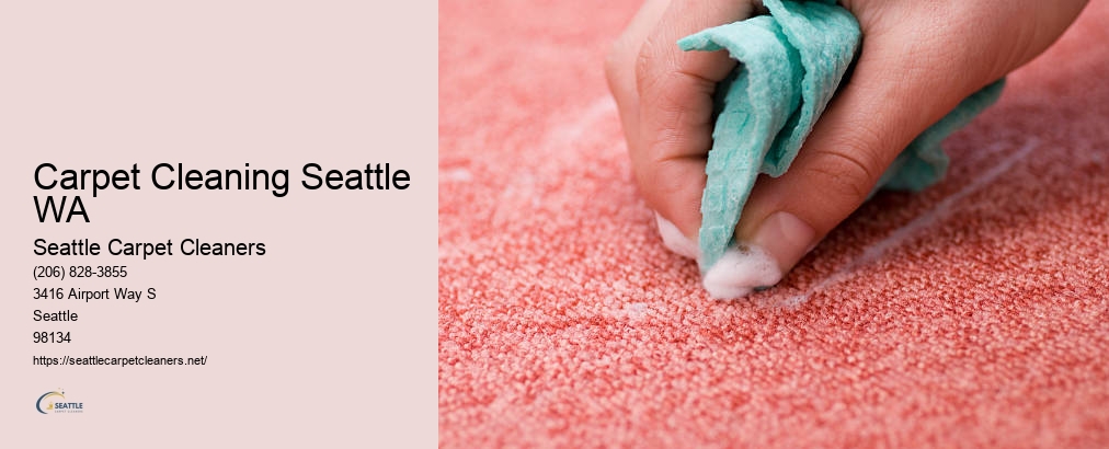 Leather Care Seattle