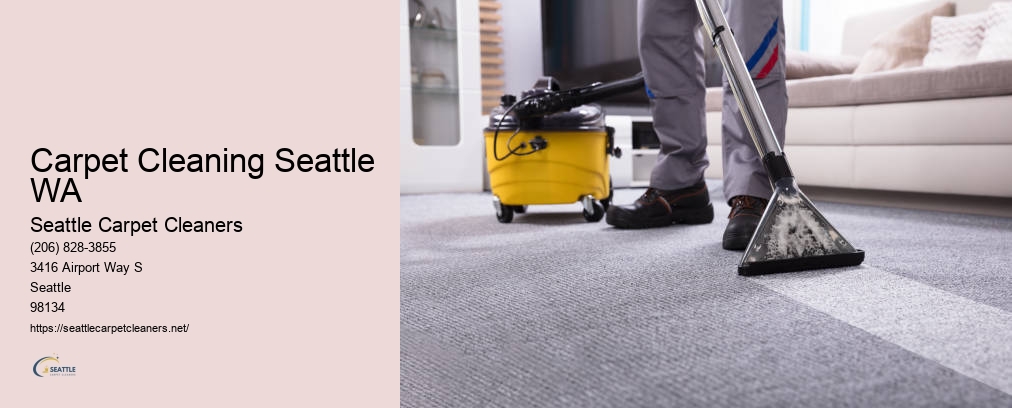 Upholstery Cleaner Seattle