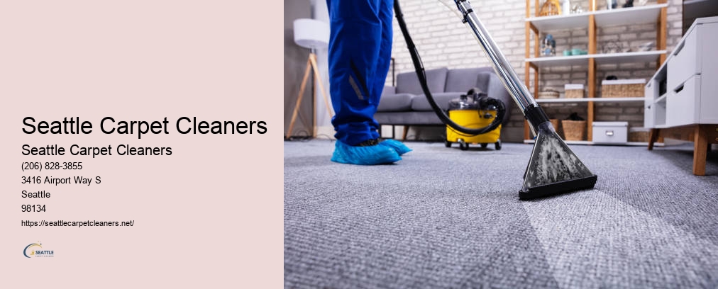 Carpet Cleaners Everett WA