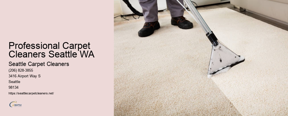 Rug Cleaning Seattle