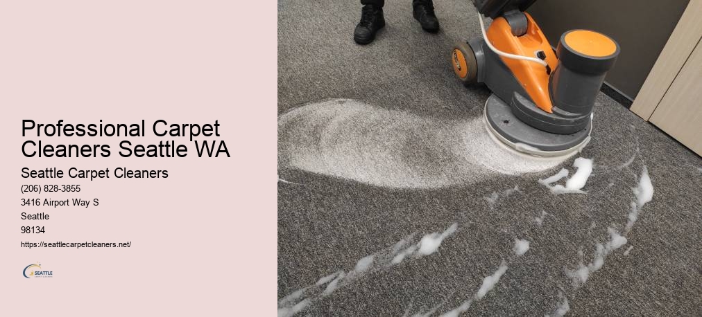 Carpet Cleaners Everett WA