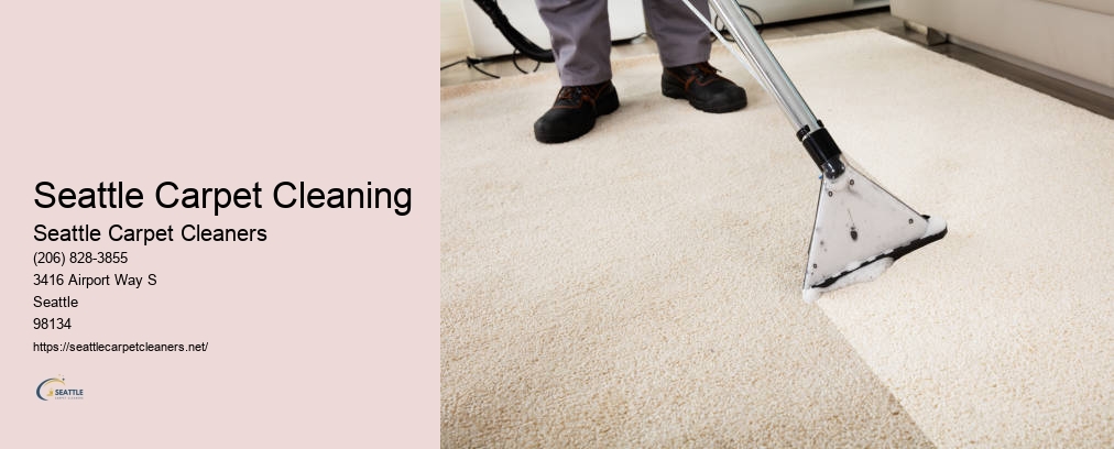 Seattle Clean Air Carpet Cleaning