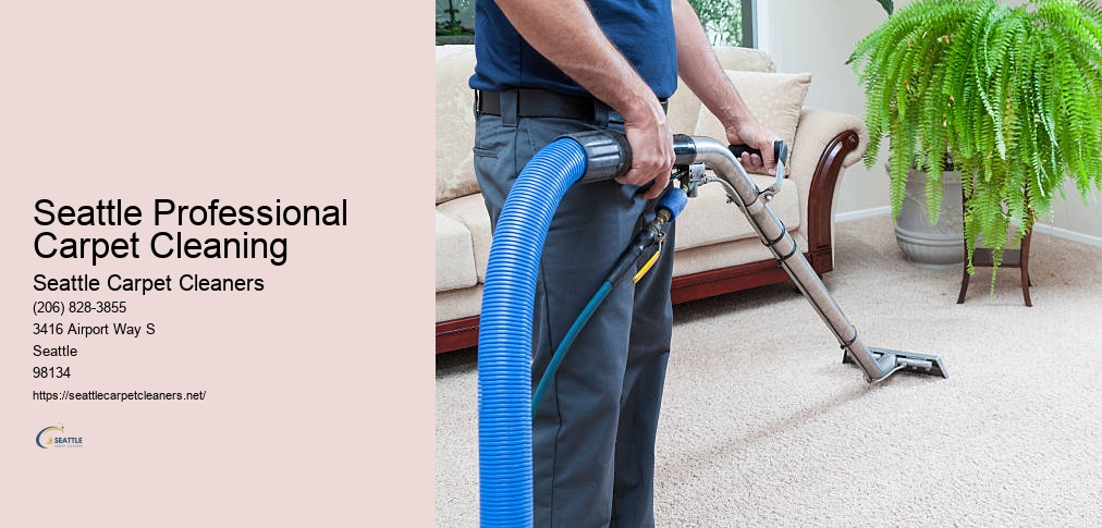Seattle Odor Removal