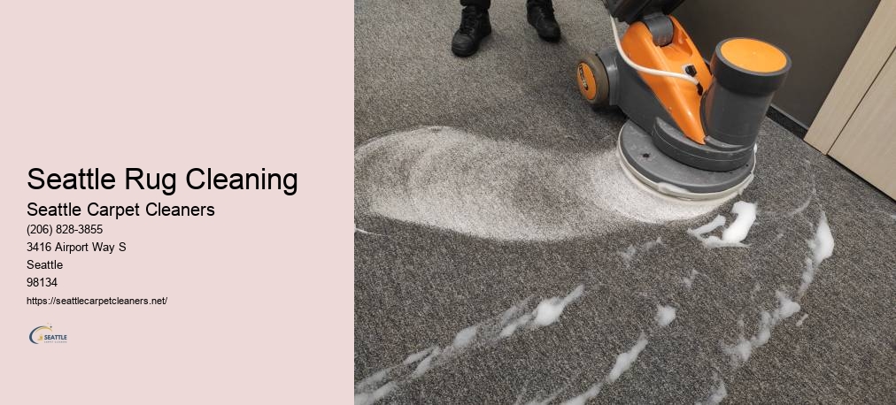 Amazing Carpet Cleaning Seattle