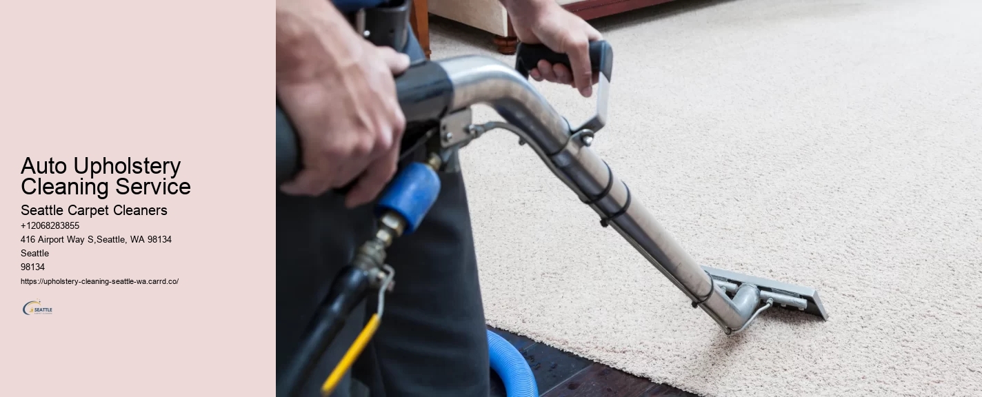 Auto Upholstery Cleaning Service