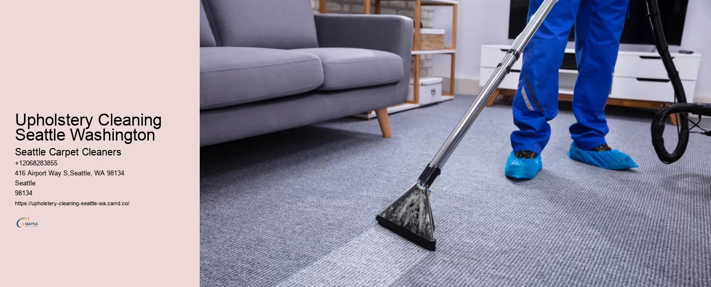 Upholstery Cleaning Seattle Washington